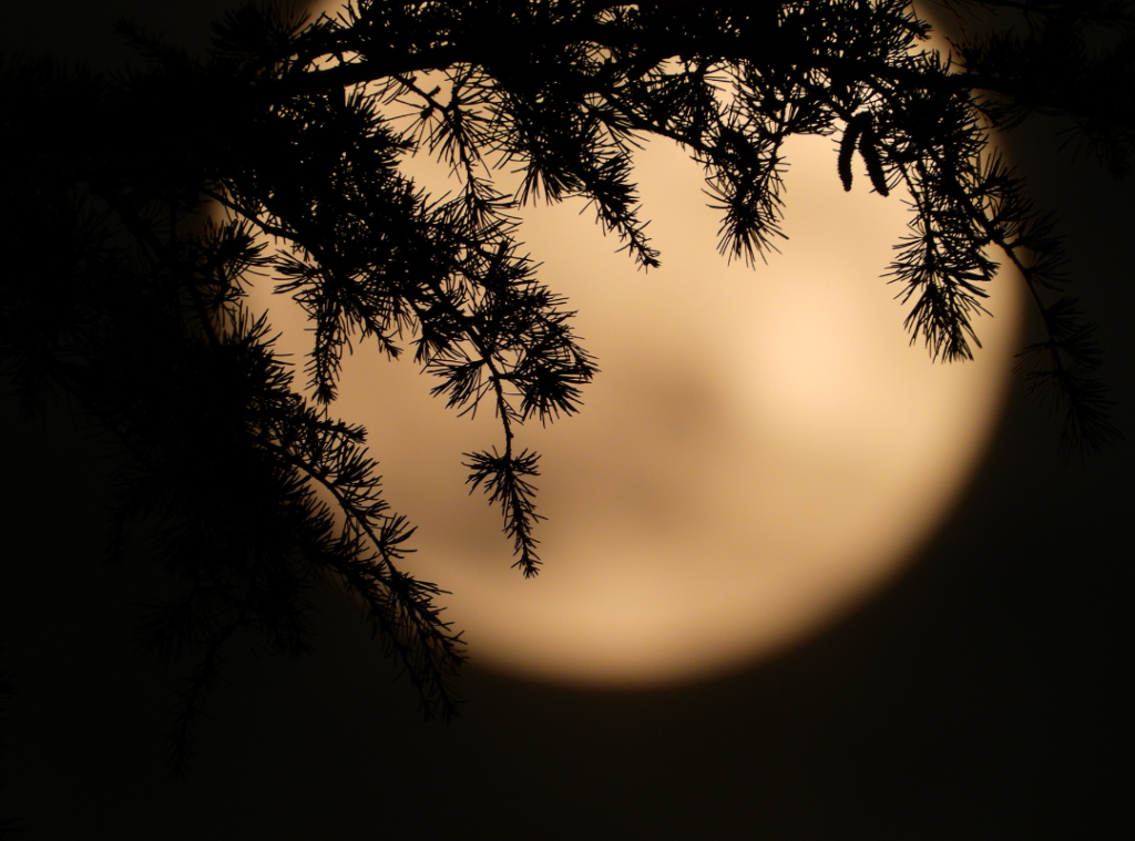 Les 3 rituels de pleine lune